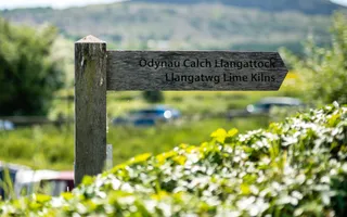 Wooden signpost with welsh destination, beside hedgerow near canal
