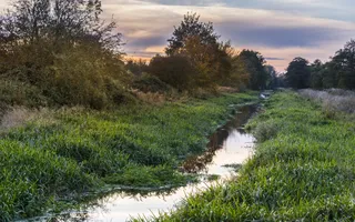 Very narrow, shallow canal runs past trees, with thick vegetation lining the banks.
