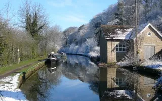 Walking in the winter