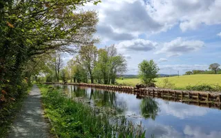 Stretch of canal with banks reinforced by coir rolls