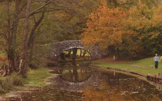 Two people walk their dog along the towpath beneath autumnal trees