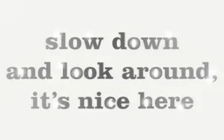 slow down and look around, it's nice here