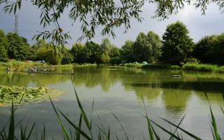 Cherries Pool at our Blythe Waters fishery