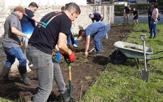 CGI colleagues create a new flower bed