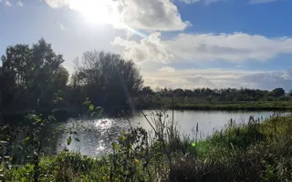 Picture of a large pond during sunset