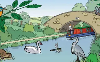 Canal and river habitats topic pack