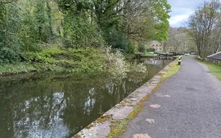 Tree down across Lock 6