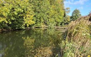 Tree blocking navigation
