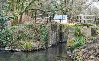 Ynysmeudwy Upper Lock 13 Swansea Canal