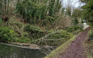 Multiple trees down between Stretton and Bridge 16