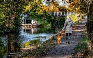Woman in winter coat walks dog along a tree-lined towpath with a metal pedestrian bridge straddling the canal.