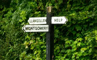 Signposts in a rural setting, one saying 'HELP'