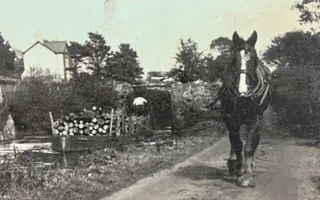 A barge on the Swansea Canal being pulled by a horse