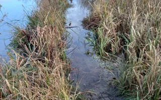 Towpath upstream of Harlow Mill lock underwater