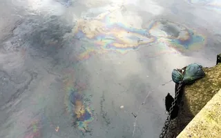 Oil Pollution on the River Lee