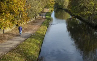 Walker in a winter coat on a towpath covered in autumn leaves next to a still canal reflecting the blue sky and surrounding trees.