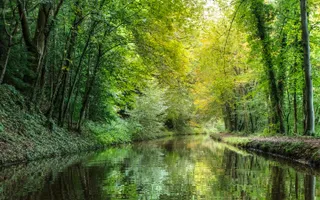 Lush, green canal banks line a canal