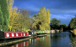 Narrowboats moored on the offside of the canal lined by tall trees on a cloudy day
