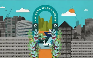 Hidden World feature box arch