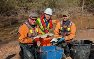 3 men holding up fish on sunny day