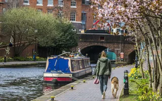 Woman walks dog along a towpath, passing a moored narrowboat.