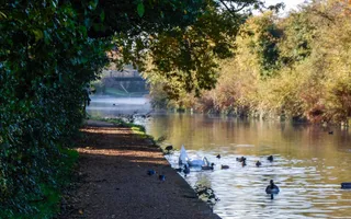 Picture of canal and towpath