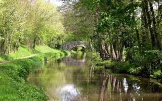 Trees line the canal leading to a bridge and reflect in the water
