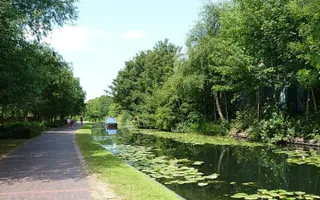 'Curly Wyrley' courtesy Richard Law