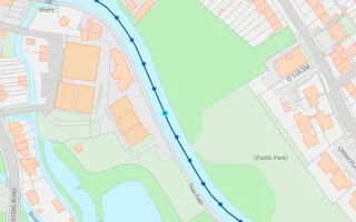 Central blue marker, tree location