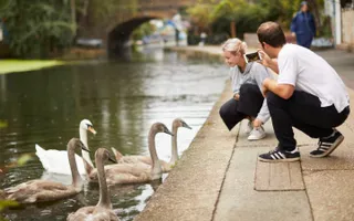 Two adults crouch on the towpath, surrounded by geese. One adult films the other on his phone