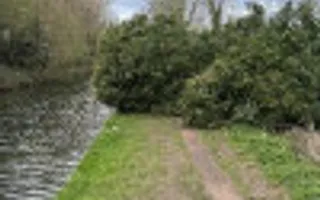 Tree blocking towpath at Culvert 23