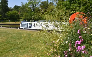 Colourful flowers on the towpath in front of a moored white narrowboat named 'The Boat'.