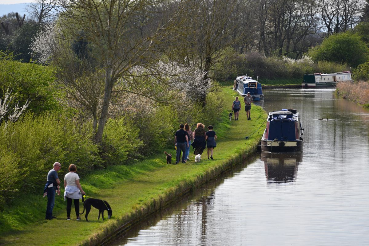 Shropshire Union Canal Walks Near Me   AHR0cHM6Ly9jcnRwcm9kY21zdWtzMDEuYmxvYi5jb3JlLndpbmRvd3MubmV0L2ltYWdlLzAxODliMTVhLTQxNGMtNzE0Mi1iMTY5LTVmMWJlMmUwMTQxNQ 