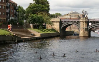 View of bridge over River Ouse in York with geese swimming on the river