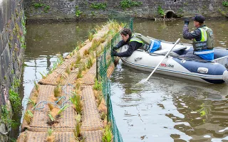Two men in a dingy attach coir matting covered in reeds to the side of the canal