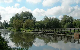 Bridge next to River Stort