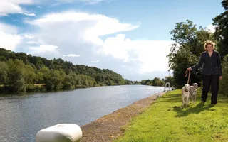 Lady walking her dog by River Trent