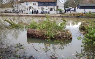 The large section of tree causing issues.