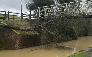 Fallen tree - Bridge 68