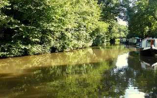 Cannock Chase, Trent & Mersey Canal