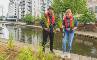 Two teenagers on a towpath hold long grassy plants to put into hessian matting in front of them, with the canal behind them