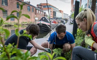 Planting at the Good Gym adoption group