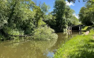 Fallen Tree near Blue Bank Lock 37