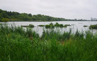 Brent Reservoir