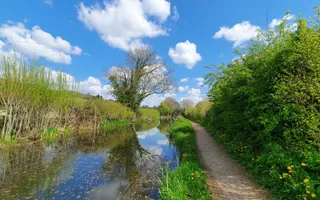 Hedgerow beside the Montgomery Canal