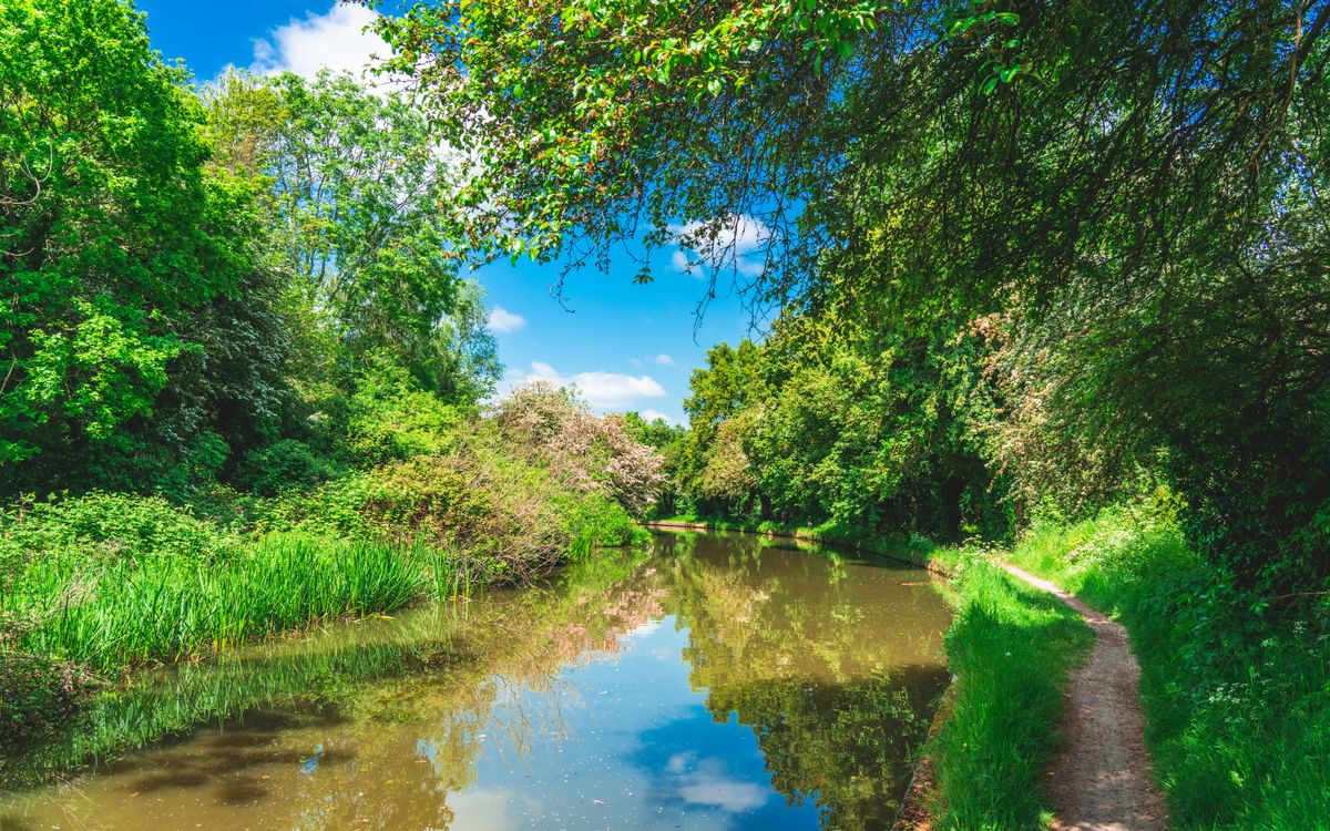 Nature’s first signs of spring on the canals | Canal & River Trust