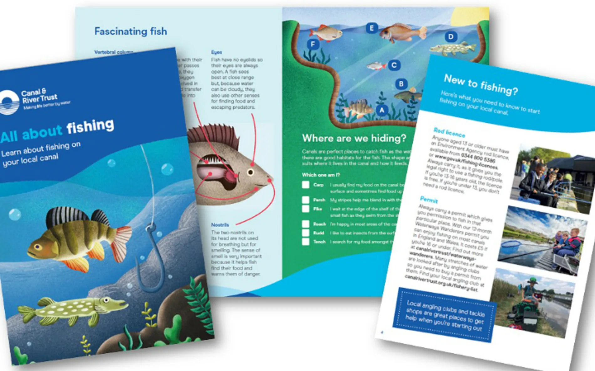 Fish-it! Lincolnshire: A Guide To Fishing Lakes, Ponds, Canals And Rivers: : Keeling, Chris: 9781906722081