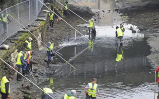 Pollution Presentation Image