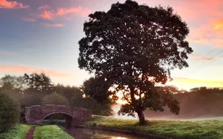 A sunset over the canal, showing the reflection of a tree in the water