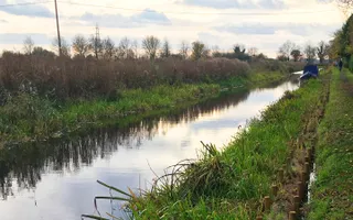 Chesterfield Canal SSSI